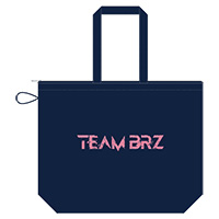 BREAKERZ | ������޹�� TEAM BRZ ʡ��
