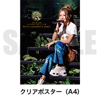 ������� | Mai Kuraki Live Project 2025 ���å��ǡ� What a wonderful world ��(LIVE DVD)