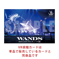 WANDS | ��WANDS Live Tour 2025 ��TIME STEW���ץ��ꥸ�ʥ�VR���饹��HOMiDO MINI�ˡ�VR��İ������