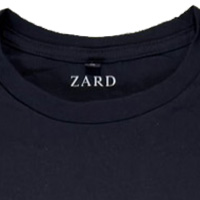 ZARD | T�����(Forever Moment)